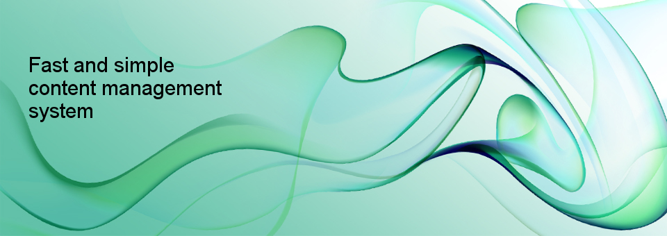 fast and simple content management system